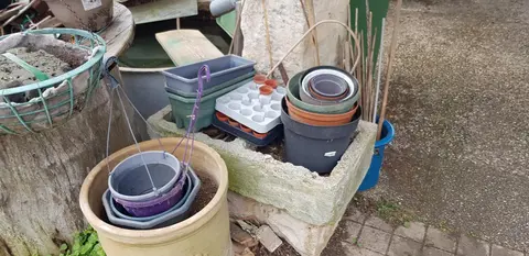 donne pots en plastiques pour plantes, certains avec suspensions , jardinières