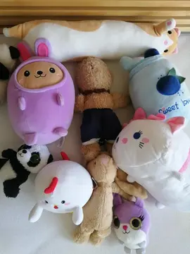 Lot de 10 peluches