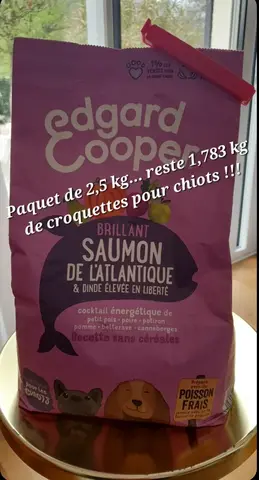 croquettes pour chiots