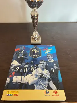 ALBUM PANINI FRANCE FFF