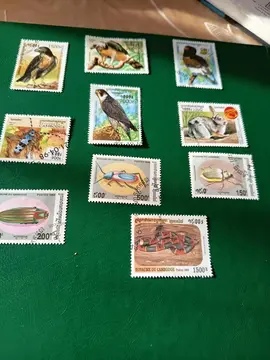 timbres animaux