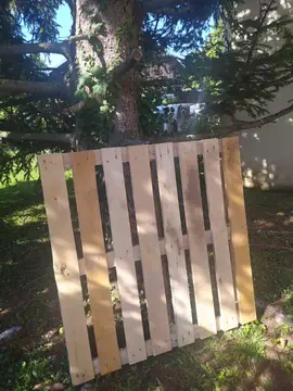 palette en bois clair