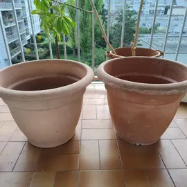 2 grands pots