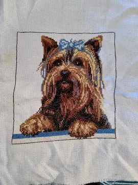 yorkshire point de croix