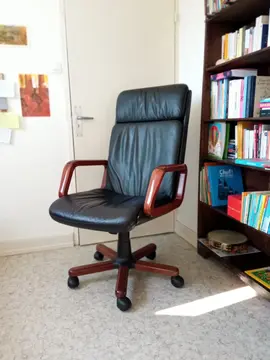 Fauteuil de bureau