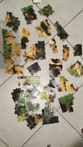 puzzle bergers allemands
