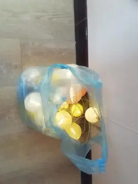 3 Guirlandes solaires