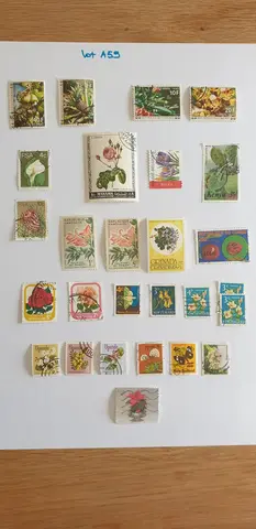 Lot A59 Timbres du monde