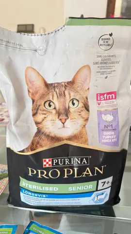 donne nourriture chat senior