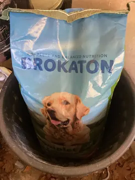 Sac de 20kg croquettes chien