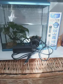 petit aquarium, avec plates aquatiques, 1 filtre, et 1 petit chauffage pour l'hiver