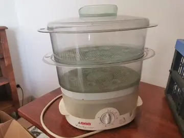 Cuit vapeur électrique