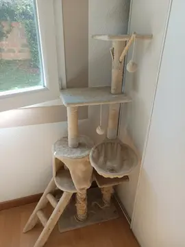 arbre à chat