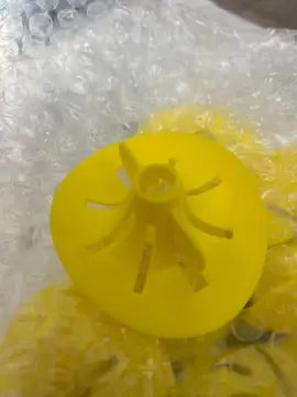 pour pièges Frelons asiatiques