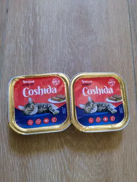 nourriture pour chat