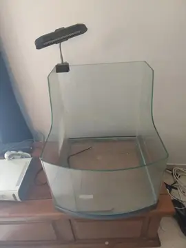 donne aquarium a tortue