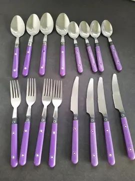Lot de couverts x 16 violet