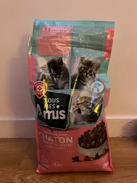 Don croquette pour chaton