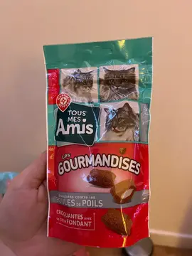 Don friandise pour chat
