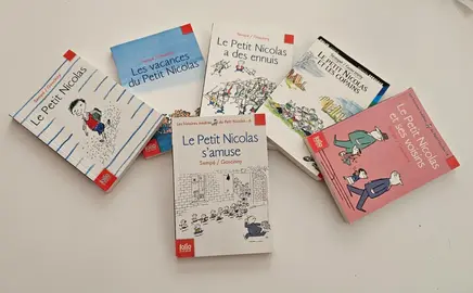 Lot de 6 livres Le Petit Nicolas