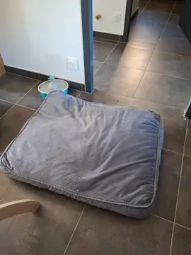 Coussin pour chien