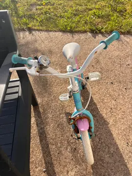 vélo reines des neiges