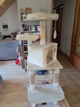 arbre à chats