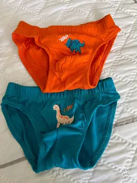 2 culottes garçon 2/3 ans