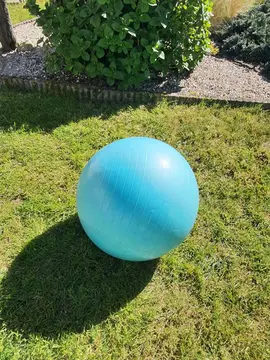 Ballon de gym