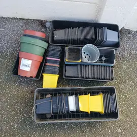 pot pour jardinage semis.