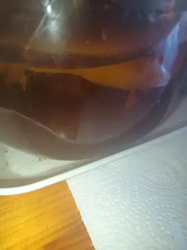 kombucha