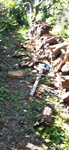 bois de chauffage resineux tres sec de 2016