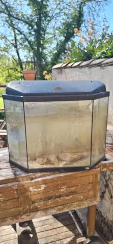 Aquarium moyen avec pierre