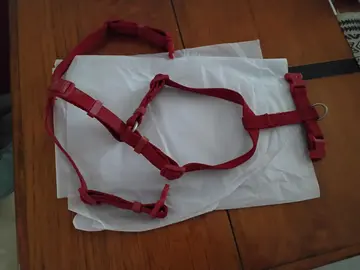 accessoires pour chien/chat