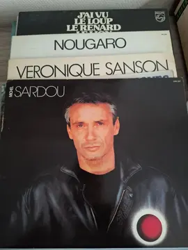 vinyles français et d'autres