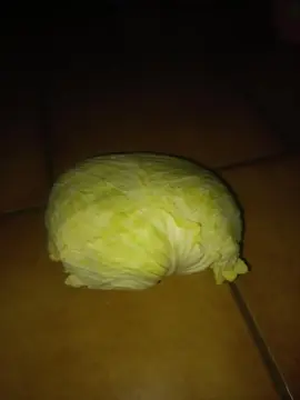 chou blanc