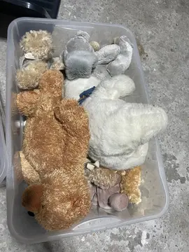 peluches