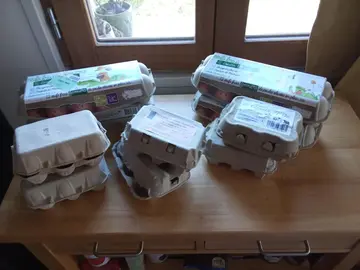 Boîtes à oeufs vides