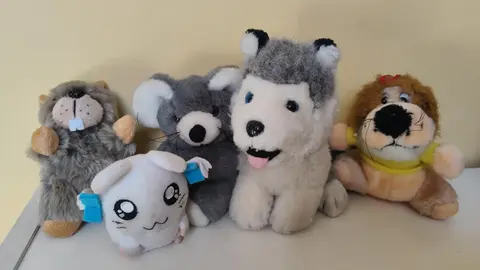 lot de petites peluches