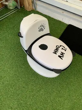 toilette pour apprentissage enfant