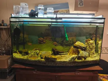 donne aquarium 450 litres cuve nue visio forme demi lune . prévoir 4 personnes pour le transport.. p