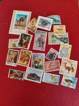 20 timbres animaux
