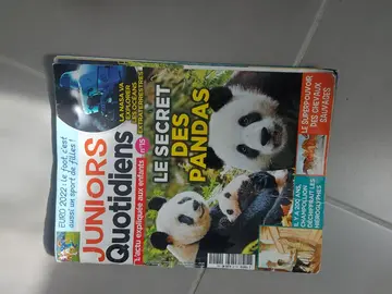 magasine juniors quotidiens