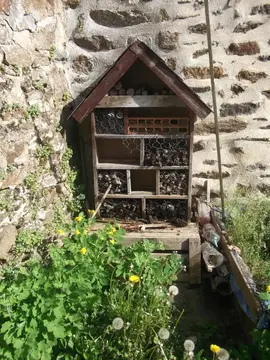 hotel a insectes et jardinière