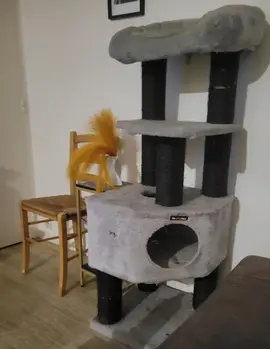 arbre à chat xxl