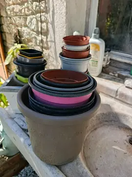 pots de fleurs