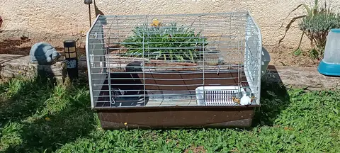 cage à lapin nain ou petit rongeur