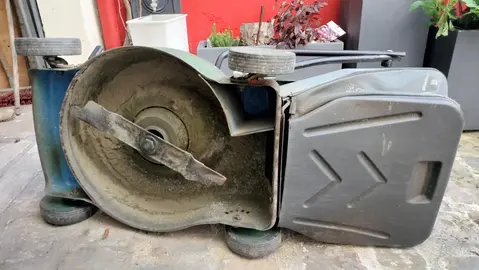 tondeuse électrique