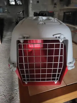 boîte de transport pour chat