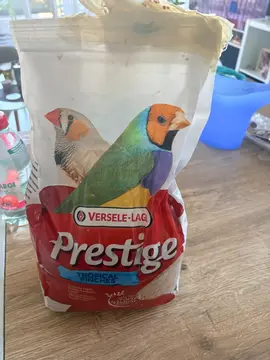 graine oiseaux exotique 5kg versele lag